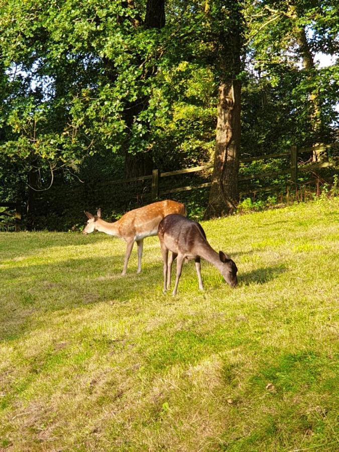Wye Valley Retreat Chepstow Luaran gambar